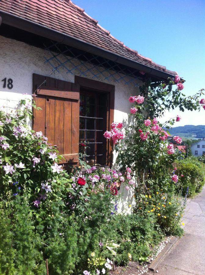 Micro-Apartment In Seenaehe Fusslaeufig Zum See:)) Ohningen Exterior photo